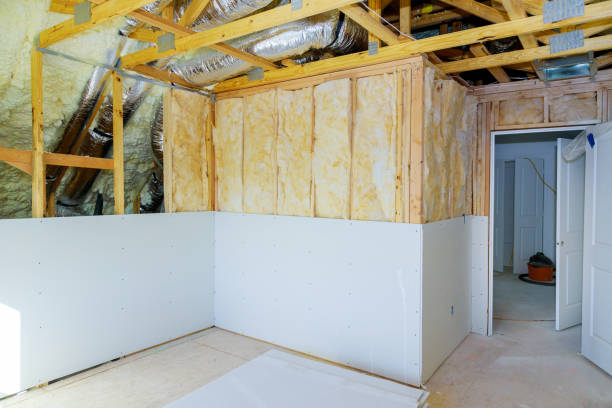 Best Spray Foam Insulation in Braska City, NE