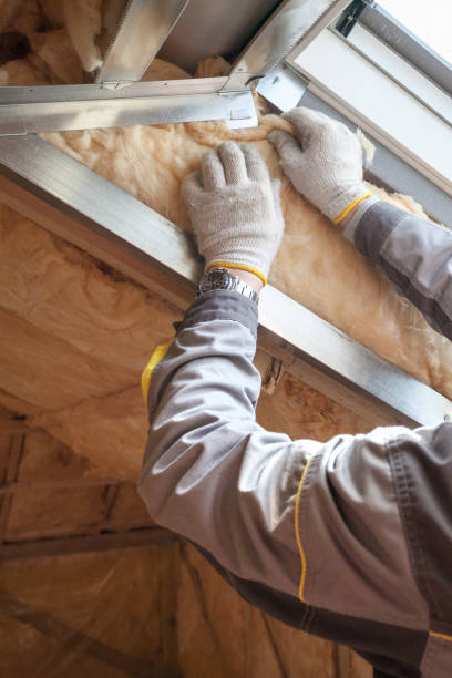 Best DIY Insulation Kits and Guidance in Braska City, NE