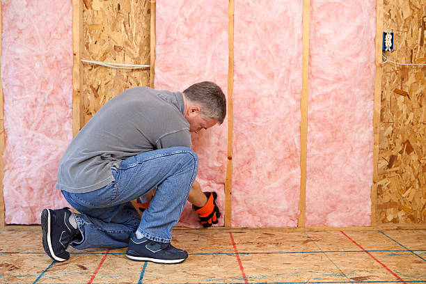 Best Commercial Insulation in Braska City, NE