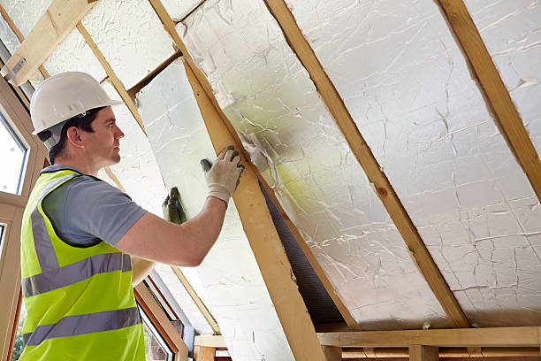 Best Insulation Maintenance and Repair in Braska City, NE