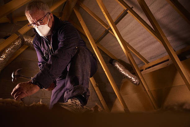 Best Spray Foam Insulation in Braska City, NE