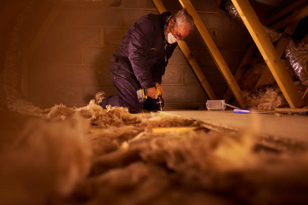 Best Energy Efficiency Insulation in Braska City, NE
